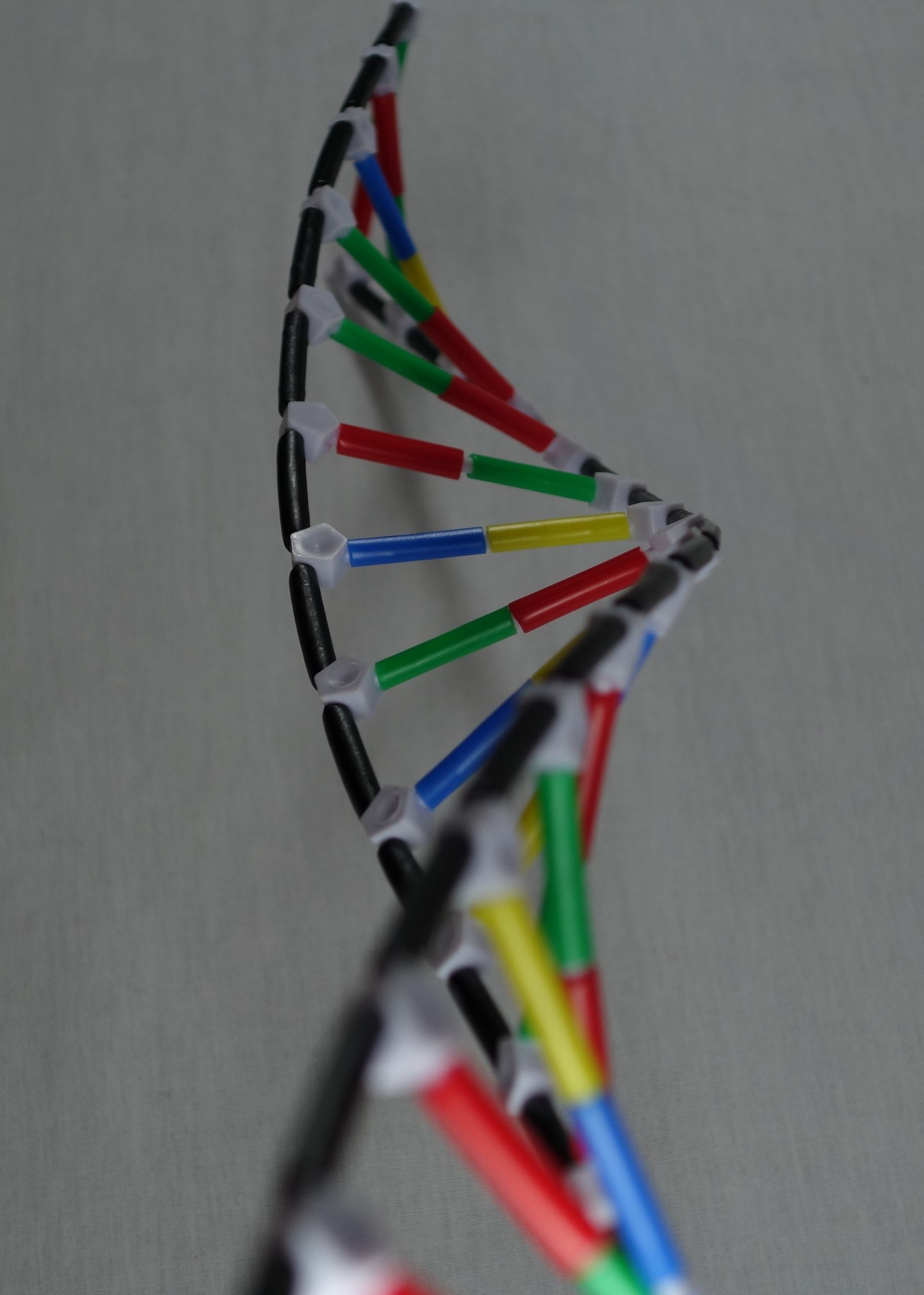 Dna 200 DIY Kit
 DNA model from kit DIY
