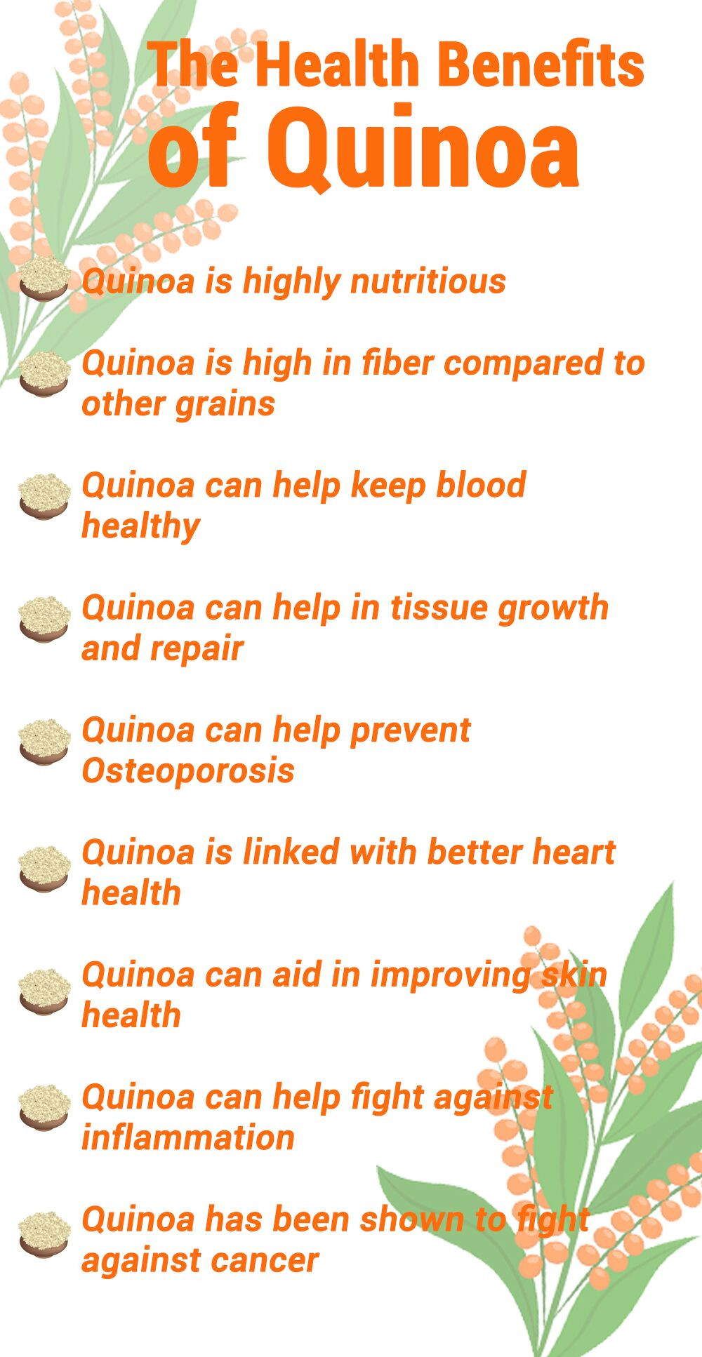 Does Quinoa Have Fiber
 Is Quinoa a plete Protein Amino Acids Today