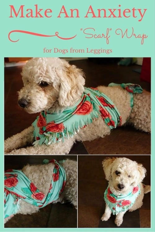 Dog Anxiety Wrap DIY
 Dog Anxiety Wrap DIY Scarf Tutorial Easy Video Instructions
