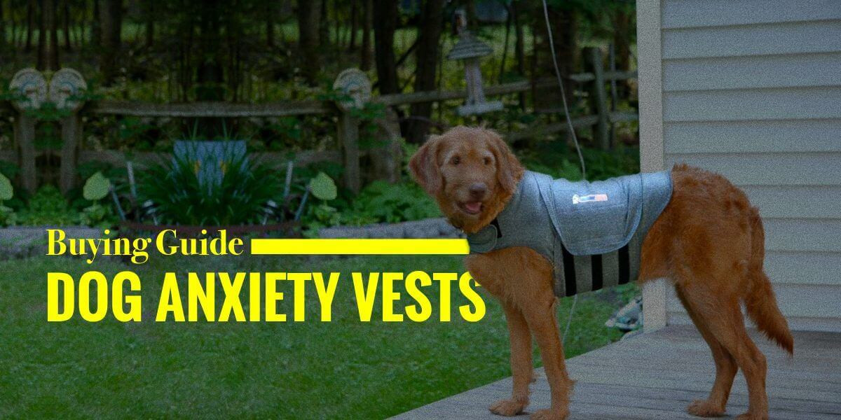 Dog Anxiety Wrap DIY
 5 Best Dog Anxiety Vests — ThunderShirt AKC DIY & Buying