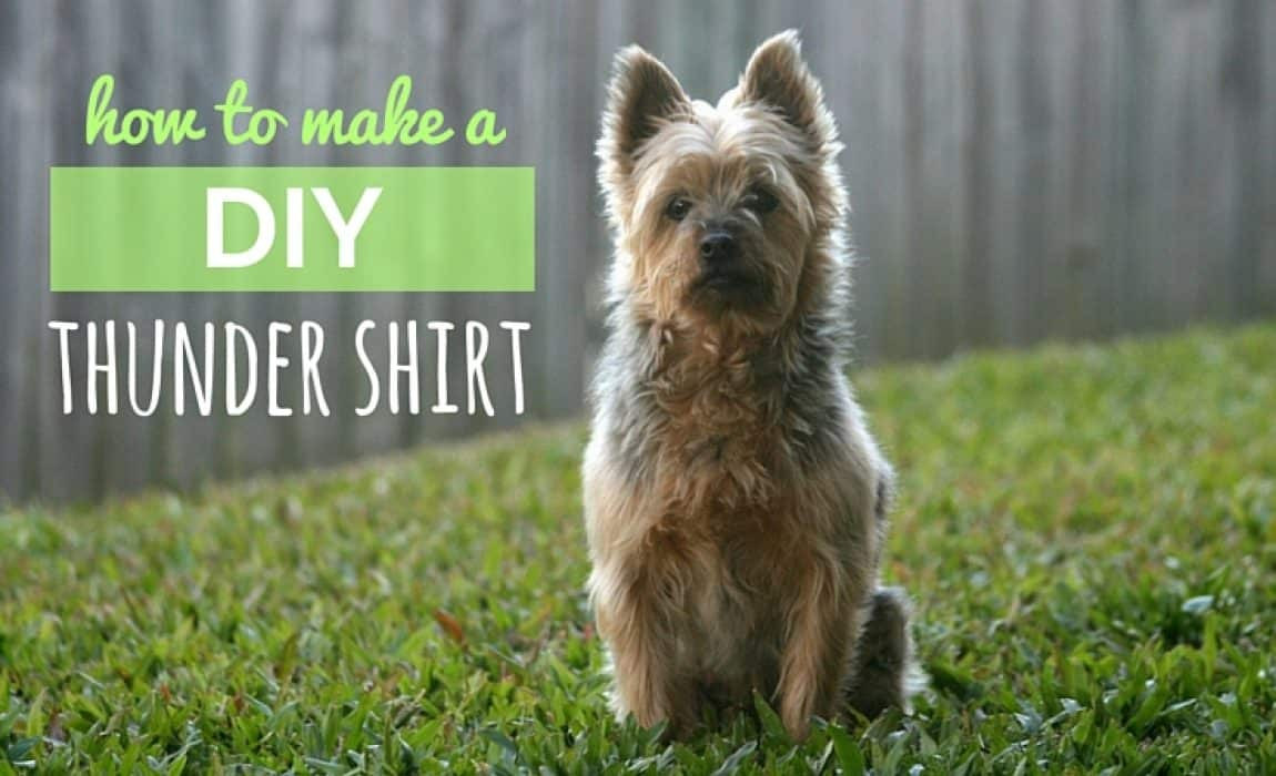 Dog Anxiety Wrap DIY
 DIY Thundershirt How to Make Your Own Canine Anxiety Wrap
