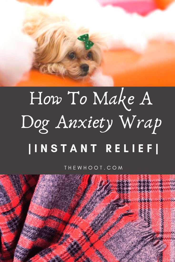 Dog Anxiety Wrap DIY
 How To Make A Dog Anxiety Wrap