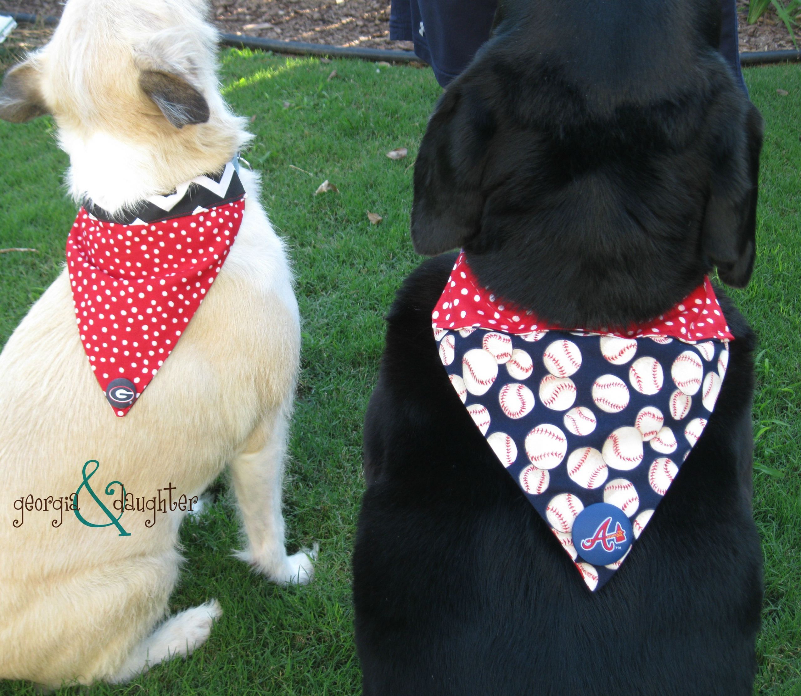 Dog Bandana DIY
 DIY Dog Collar Bound Bandanas