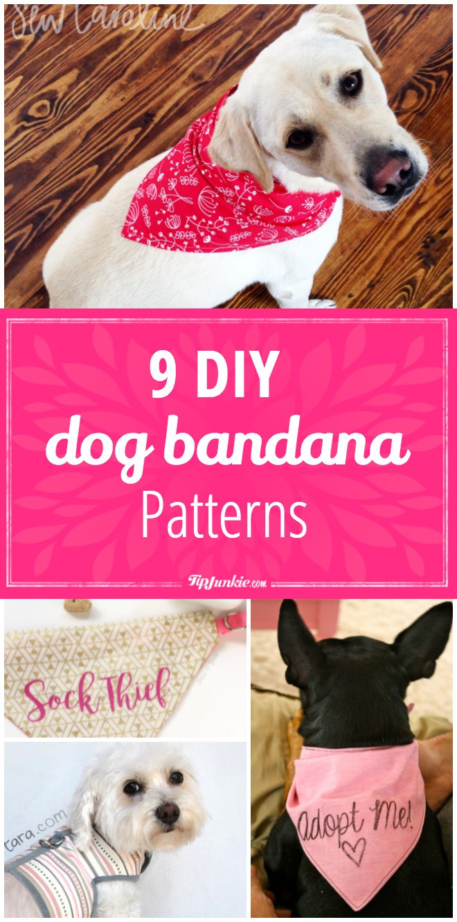 Dog Bandana DIY
 9 DIY Dog Bandana Patterns