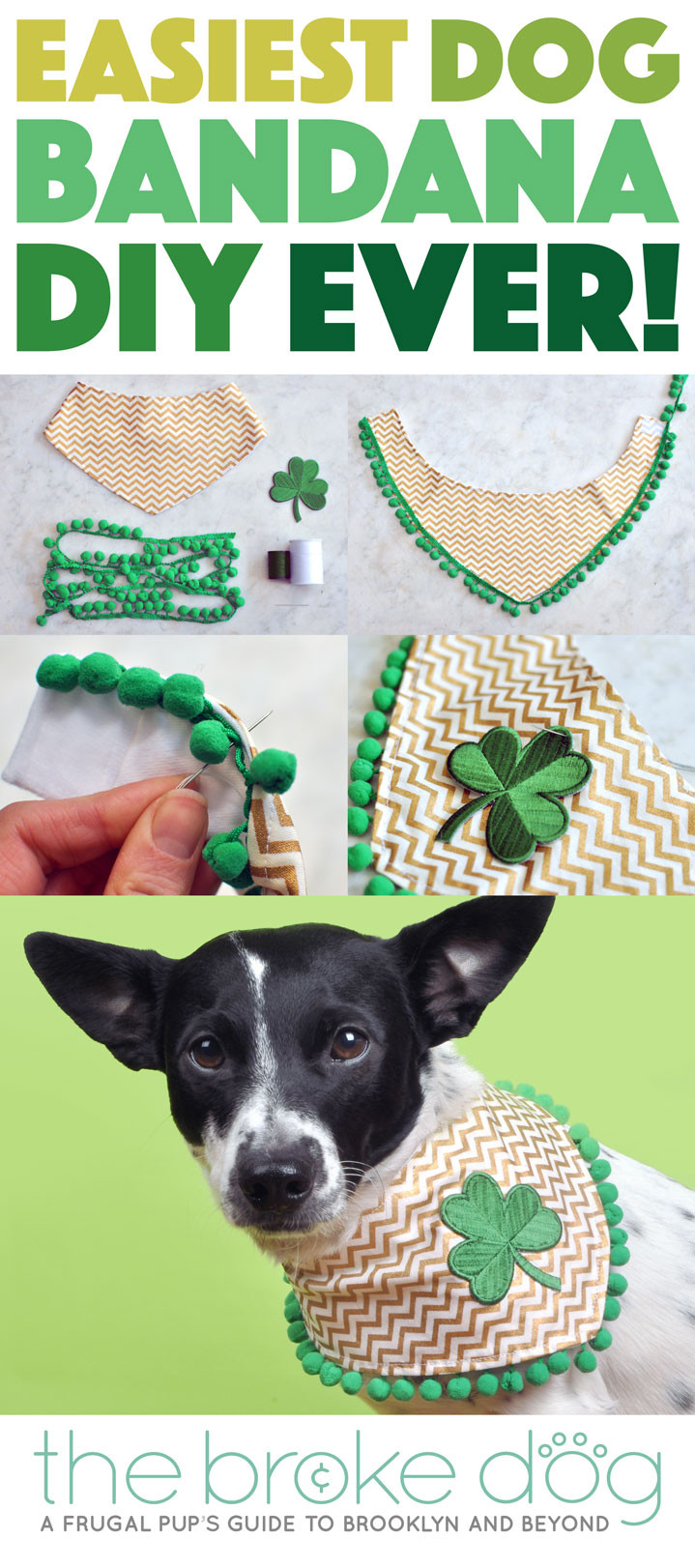 Dog Bandana DIY
 Easiest Dog Bandana DIY Ever The Broke Dog