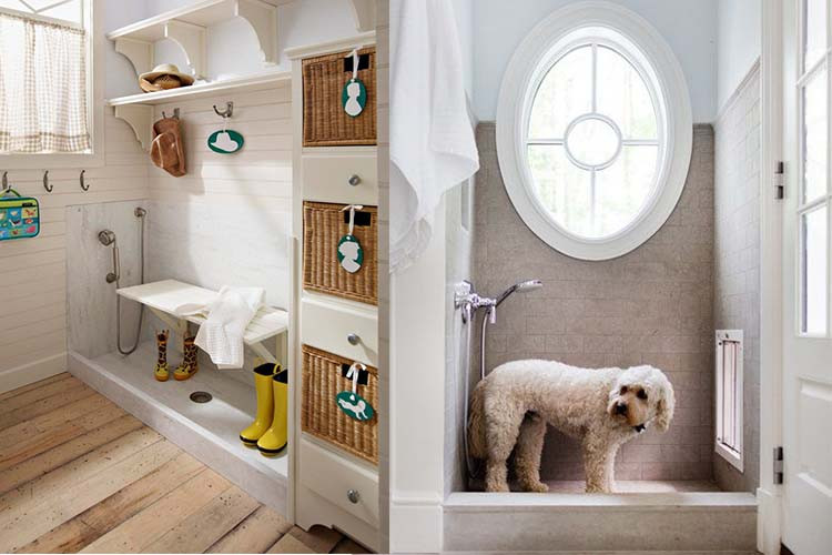Dog Bathroom Decor
 10 Awesome Pet Friendly Home Inventions Decorilla