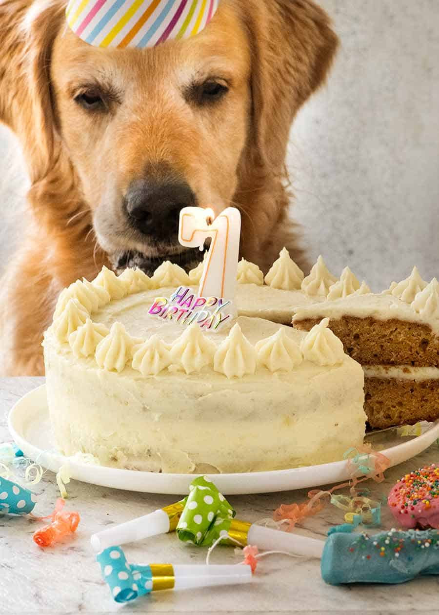 Dog Birthday Cake Recipes
 Dog Cake recipe for Dozer s birthday