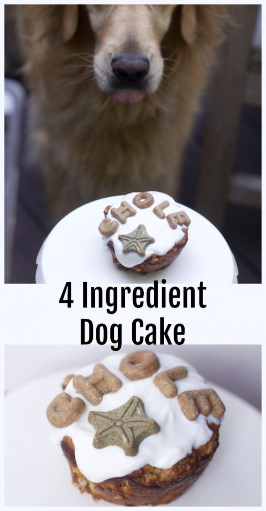 Dog Birthday Cake Recipes
 The Easiest Dog Birthday Cake Recipe for a Dog Birthday