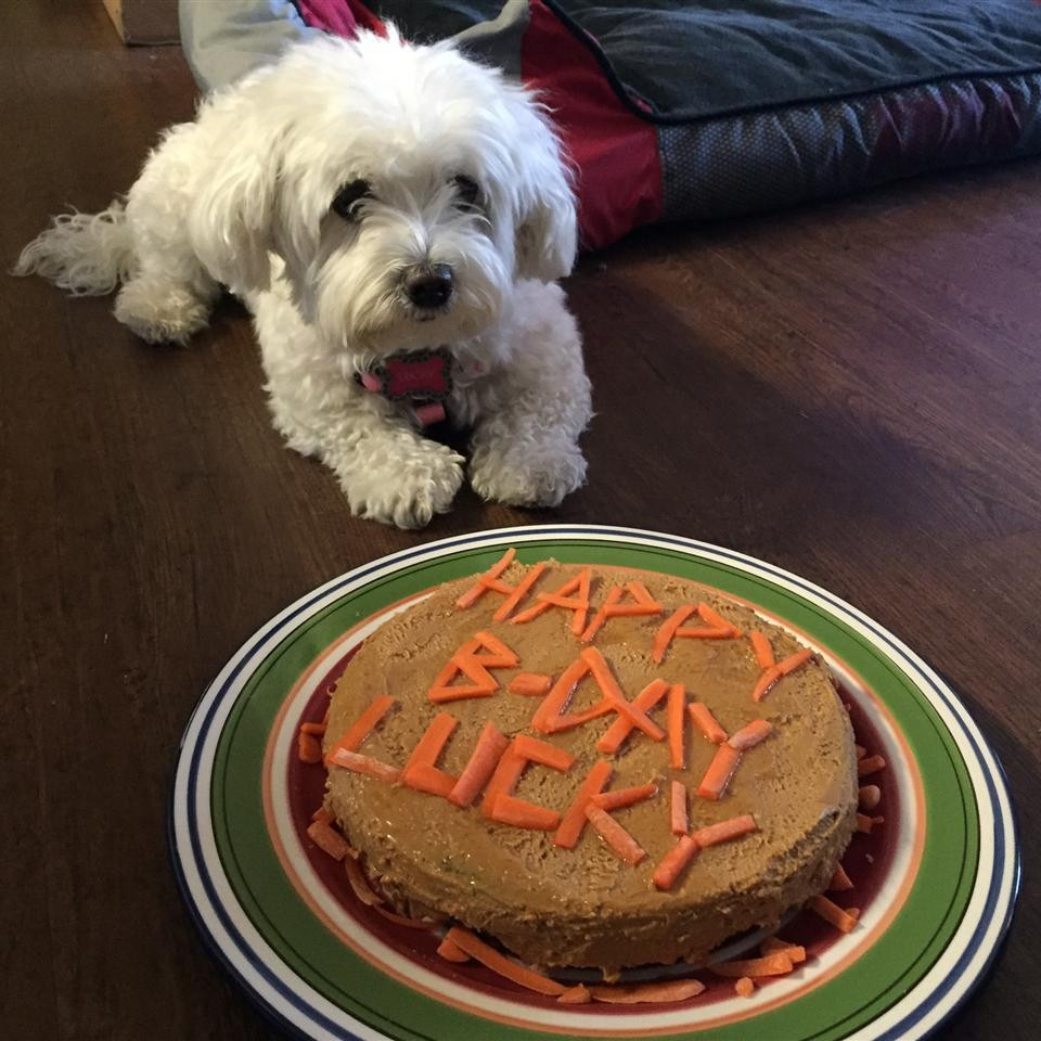 Dog Birthday Cake Recipes
 Doggie birthday cake recipe All recipes UK