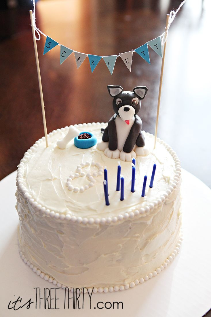 Dog Birthday Cakes Near Me
 Puppy birthday cake perfect for a boy or a girl