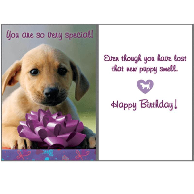 Dog Birthday Wishes
 Birthday Greeting Card by Dog Speak New Pup