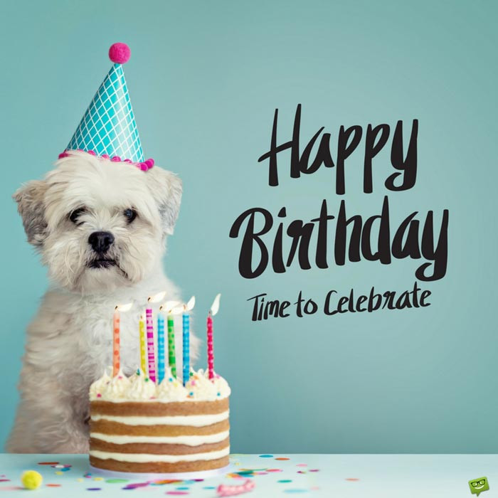 Dog Birthday Wishes
 Happy Birthday Cute Dog