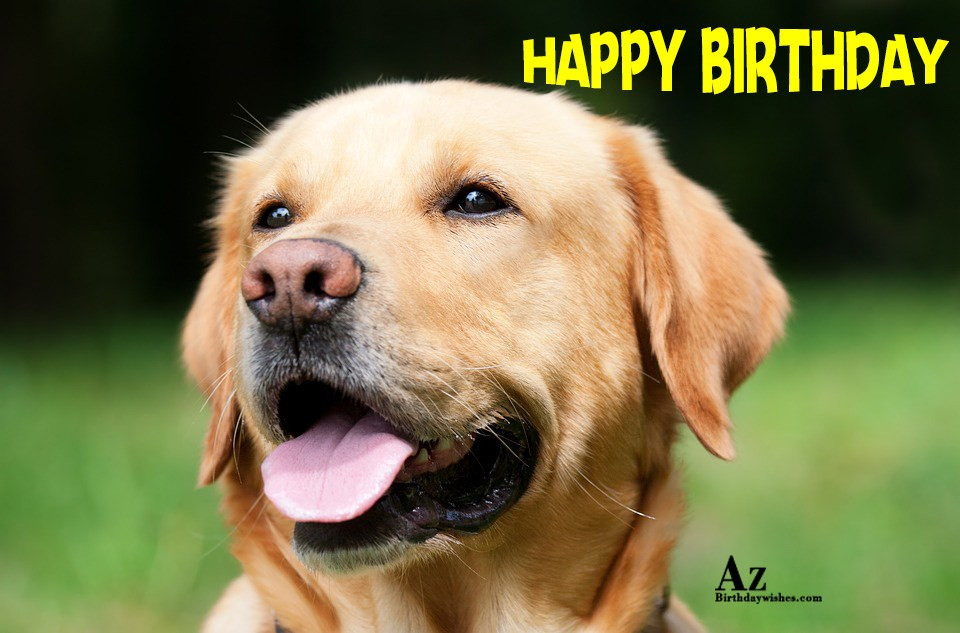 Dog Birthday Wishes
 Birthday Wishes With Dog