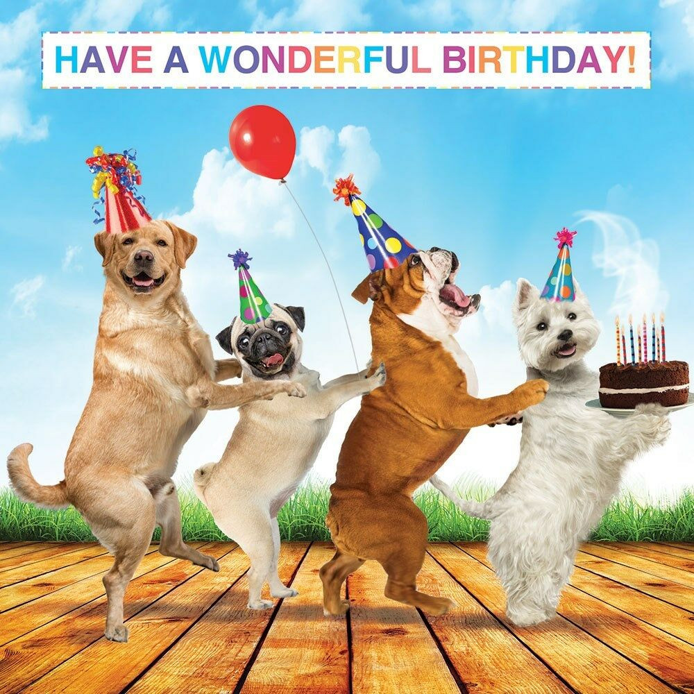 Dog Birthday Wishes
 Dog Lovers Luxury Glitter Birthday Greeting Card Pug