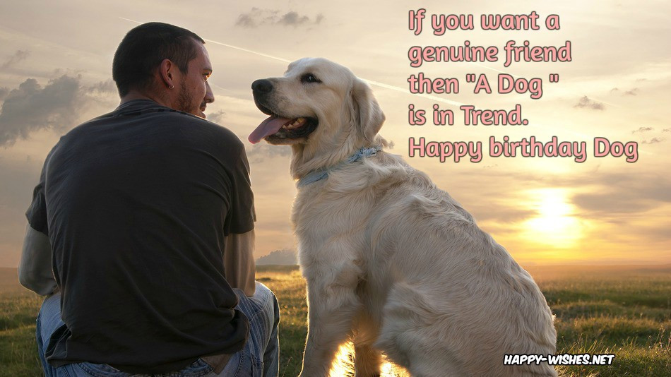 Dog Birthday Wishes
 Happy Birthday Wishes For Dog Quotes & Memes