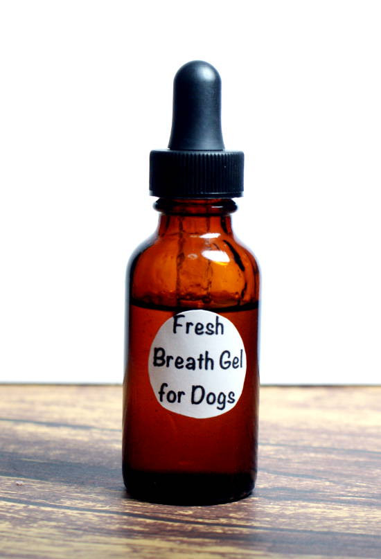 Dog Breath Freshener DIY
 Homemade Dog Breath Freshener Spray Homemade Ftempo