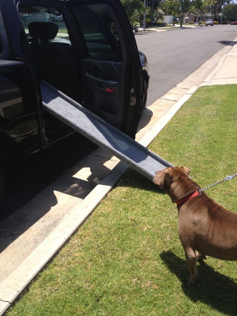 Dog Car Ramp DIY
 10 Fast & Easy DIY Dog Ramps for Cars and Trucks with