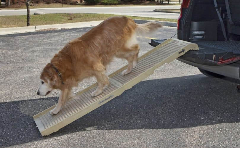 Dog Car Ramp DIY
 How to Build A Dog Ramp Tools And Materials