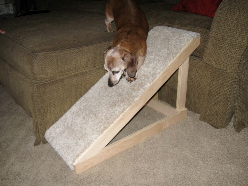 Dog Car Ramp DIY
 DIY Dog Ramp petdiys