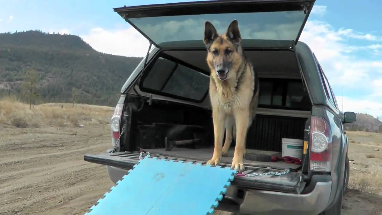 Dog Car Ramp DIY
 Dog Ramp