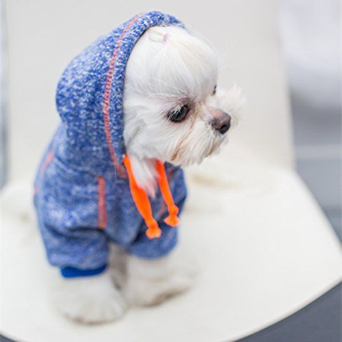 Dog Clothes DIY
 DIY Dog Clothes And Coats You Should Make