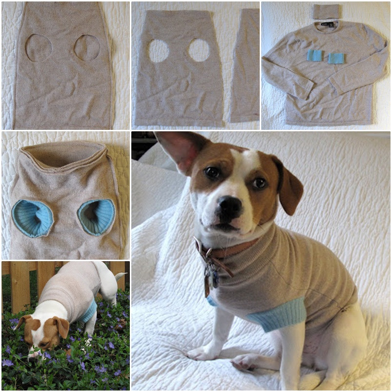 Dog Clothes DIY
 DIY Upcycle old Sweater into Cute Pet Clothes