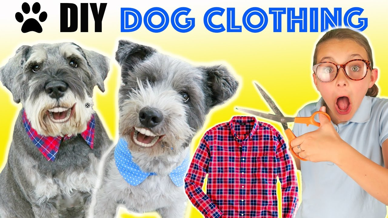 Dog Clothes DIY
 How To Make DIY Funny Upcycled Dog Clothes