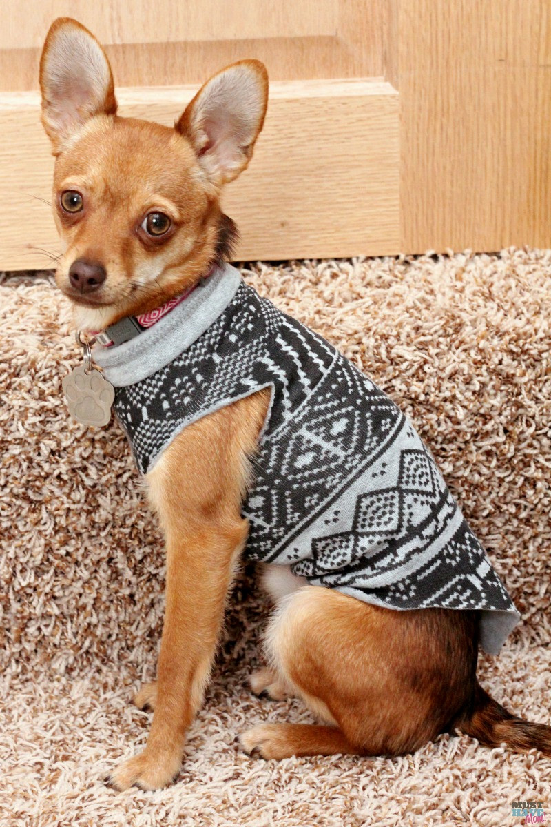 Dog Clothes DIY
 Make A DIY Dog Sweater From A Sweatshirt Doggie Travel