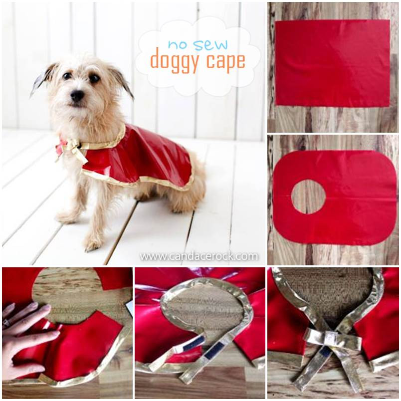 Dog Clothes DIY
 DIY Easy Dog Fleece Jacket