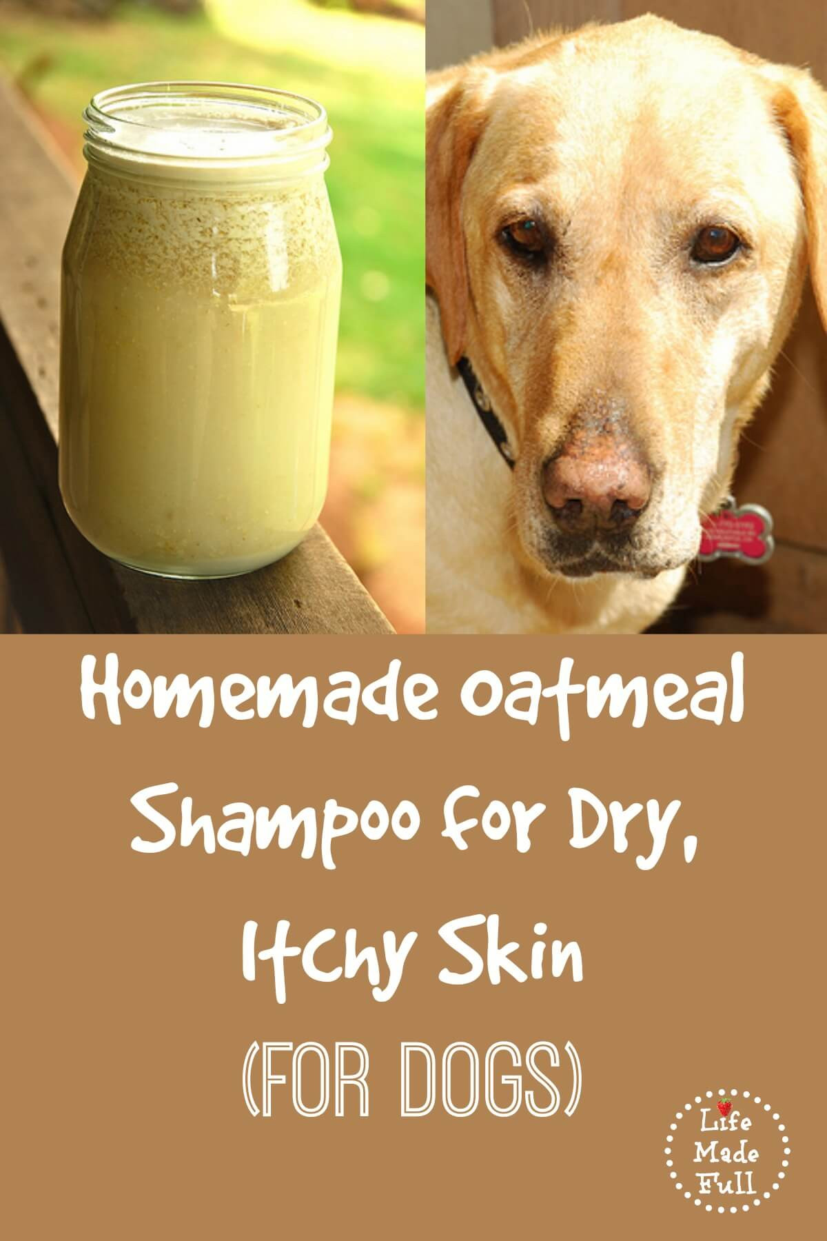 Dog Dry Shampoo DIY
 The Best Homemade Shampoo for Dogs