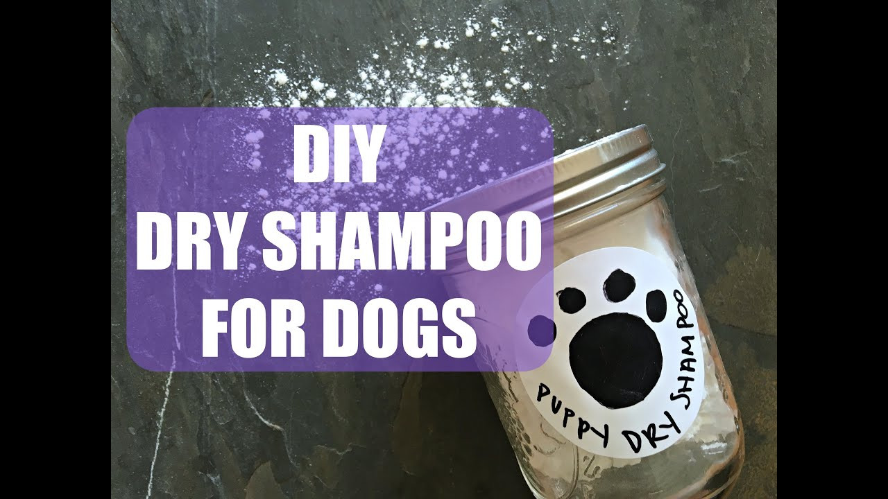 Dog Dry Shampoo DIY
 DIY Dry Shampoo for Dogs