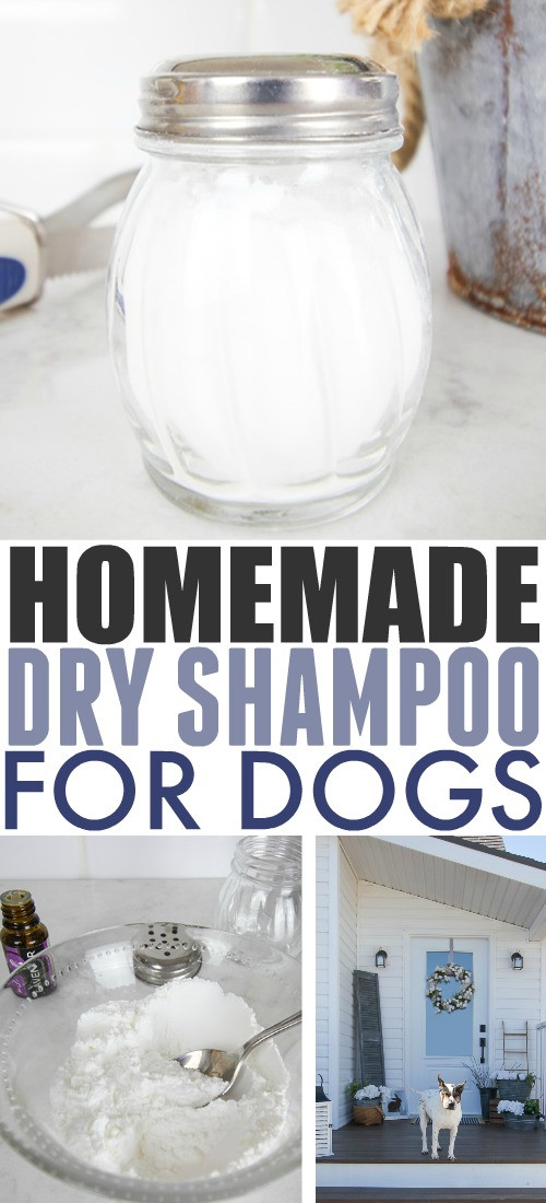 Dog Dry Shampoo DIY
 Homemade Dry Shampoo for Dogs