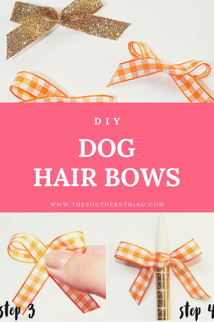 Dog Hair Bows DIY
 DIY Dog Hair Bows The Southern Thing
