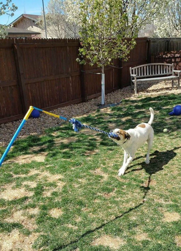 Dog Playground DIY
 20 Creative DIY Dog Playground In The Backyard