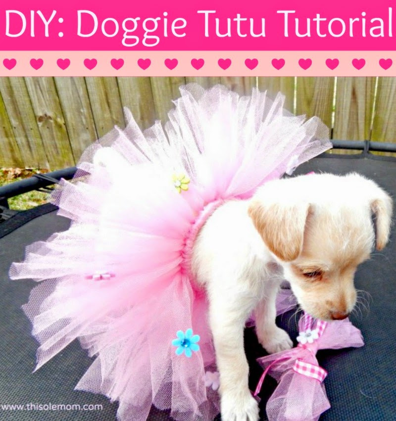 Dog Tutu DIY
 29 Lovely Things You Can Do with a Tutu Page 3 of 3