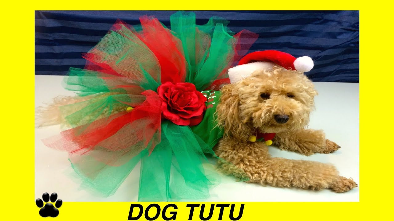 Dog Tutu DIY
 CHRISTMAS DOG TUTU SKIRT XMAS FESTIVE DRESS DIY Dog