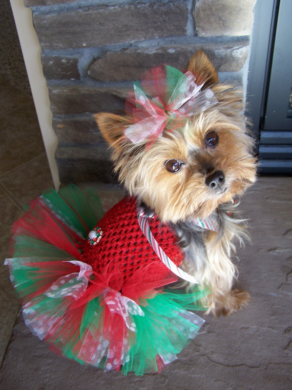 Dog Tutu DIY
 Dog TuTu Dress for toy breeds in Green and Red with by