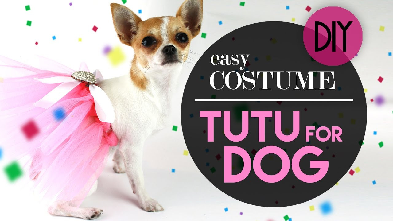 Dog Tutu DIY
 DOG TUTU EASY COSTUME COSTUME PER CANE TUTU