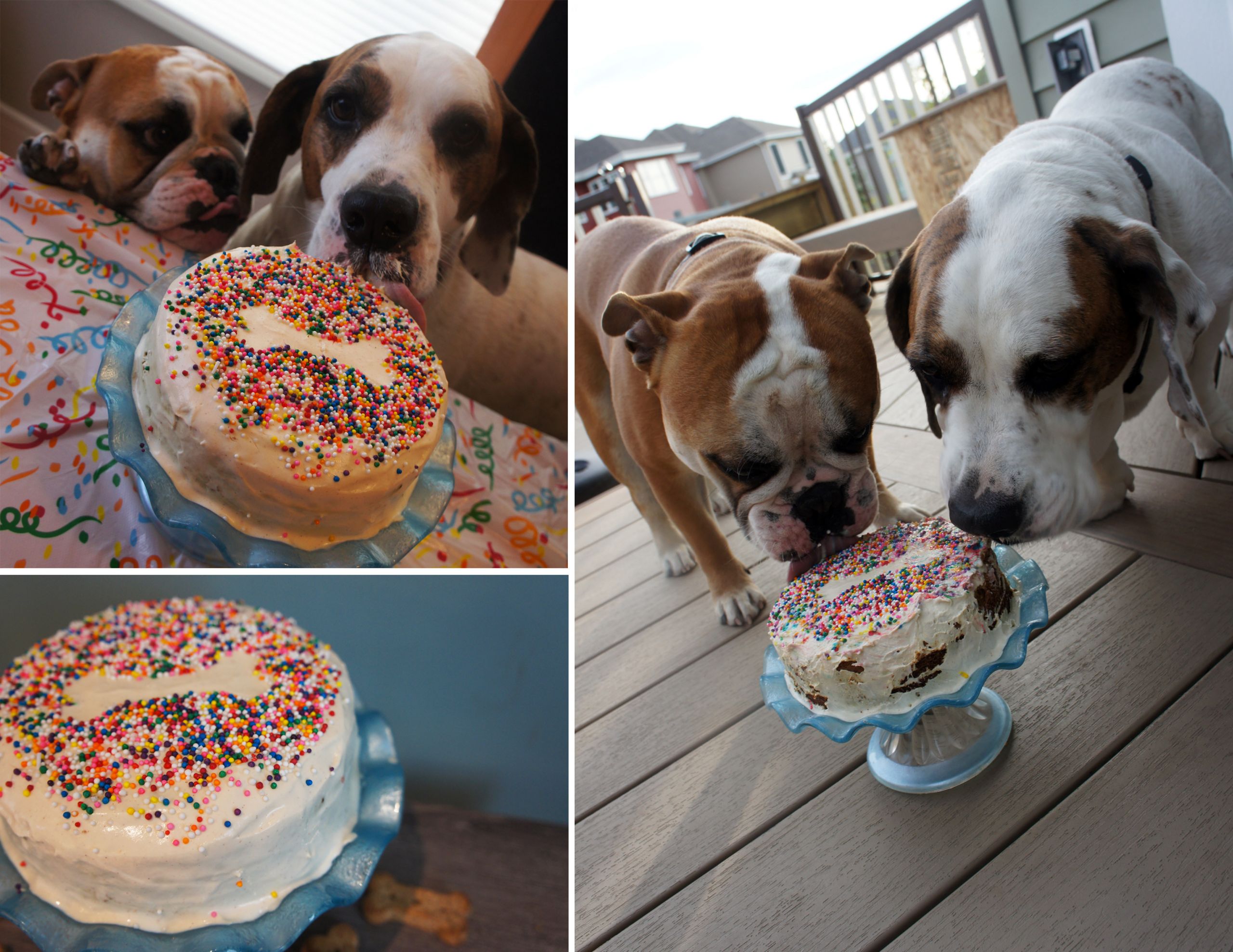 Doggie Birthday Cake Recipes
 Peanut Butter Delight Doggie Birthday Cake