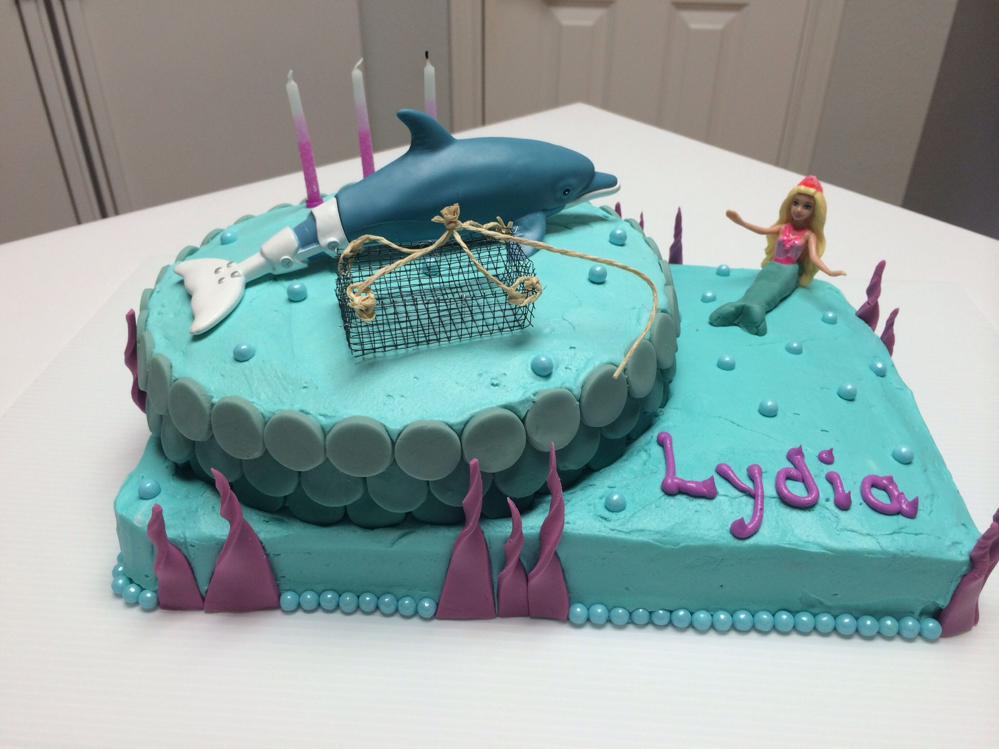 Dolphin Birthday Cake
 Lydia s 3rd Birthday Dolphin Tale cake