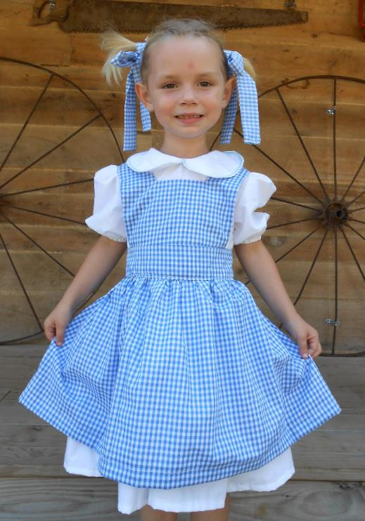 Dorothy Wizard Of Oz Costume DIY
 WizardDorothy
