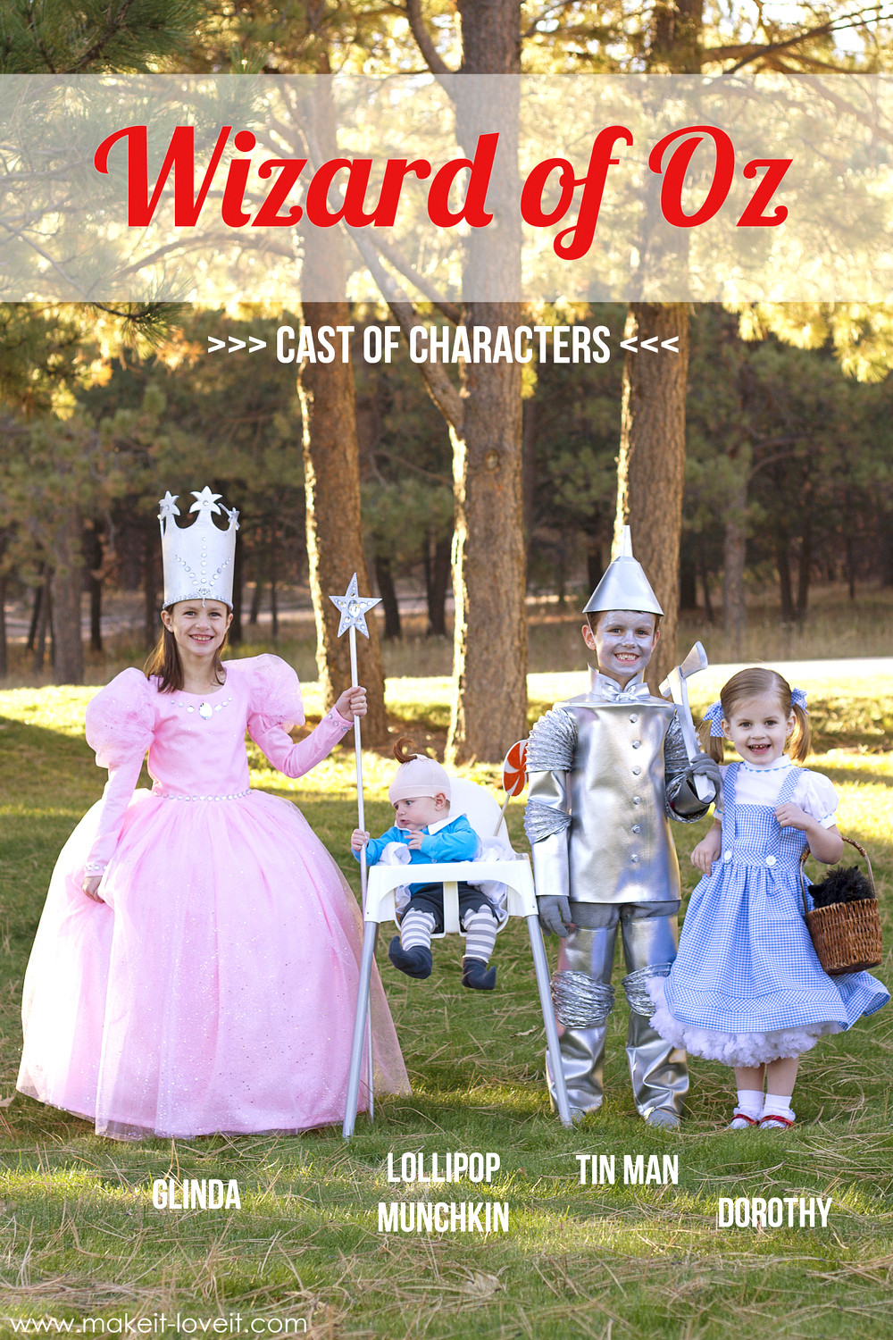 Dorothy Wizard Of Oz Costume DIY
 Halloween Costumes 2014 The whole "Wizard of Oz" gang