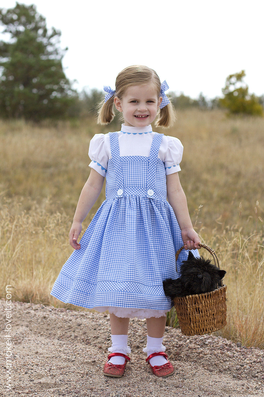 Dorothy Wizard Of Oz Costume DIY
 Halloween 2014 Dorothy from "Wizard of Oz"