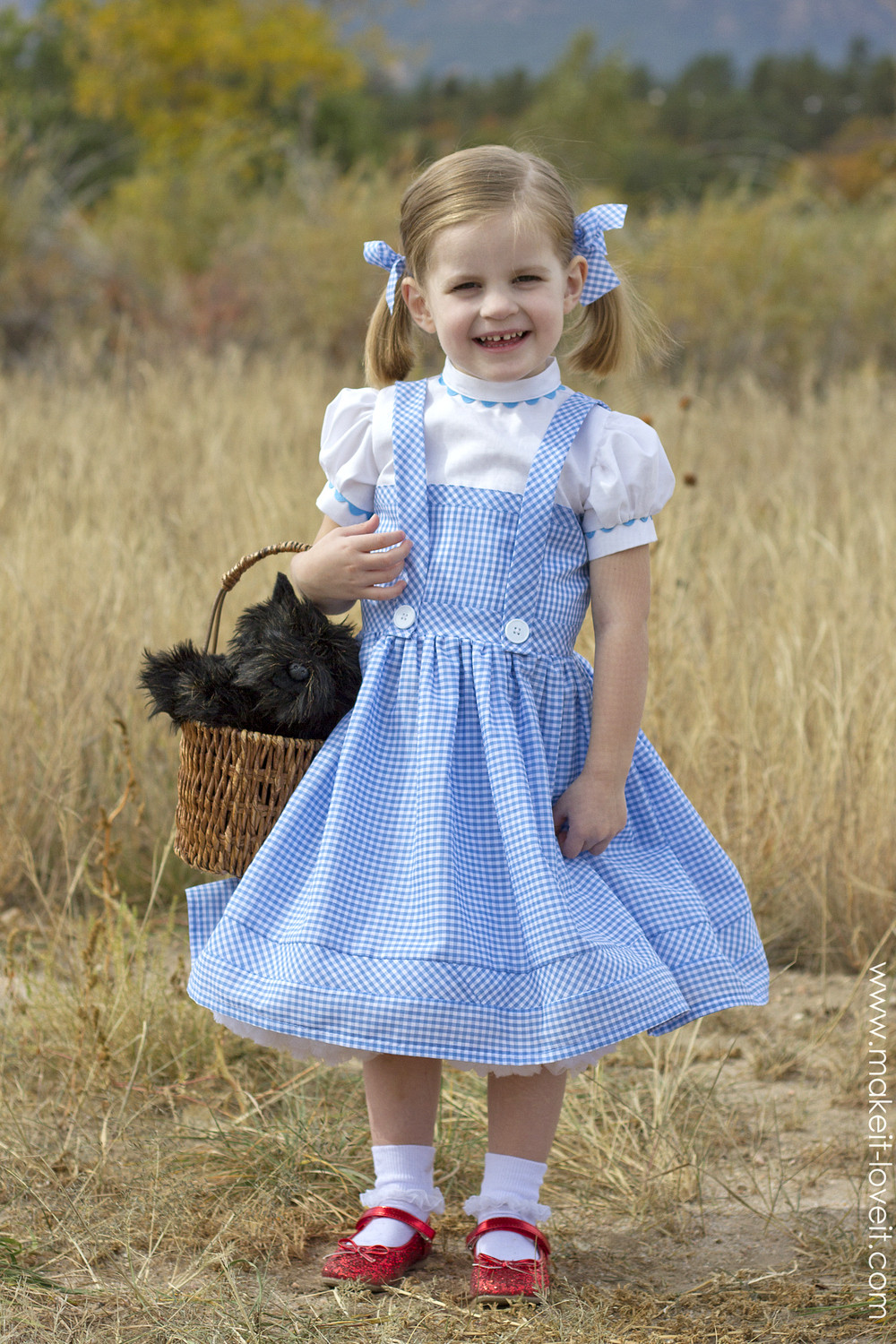 Dorothy Wizard Of Oz Costume DIY
 Halloween 2014 Dorothy from "Wizard of Oz"