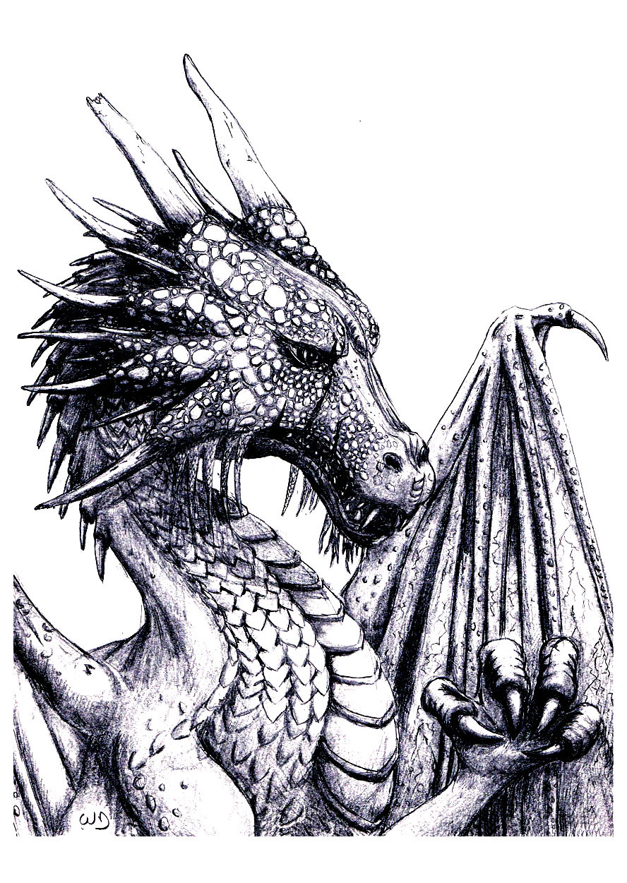 Dragon Coloring Books For Adults
 Dragon Dragons Adult Coloring Pages