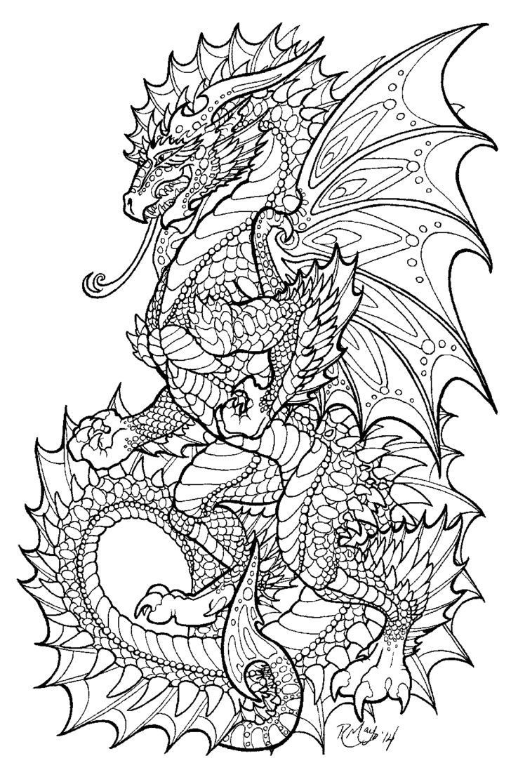 Dragon Coloring Books For Adults
 Image result for Dragon Coloring Pages for Adults