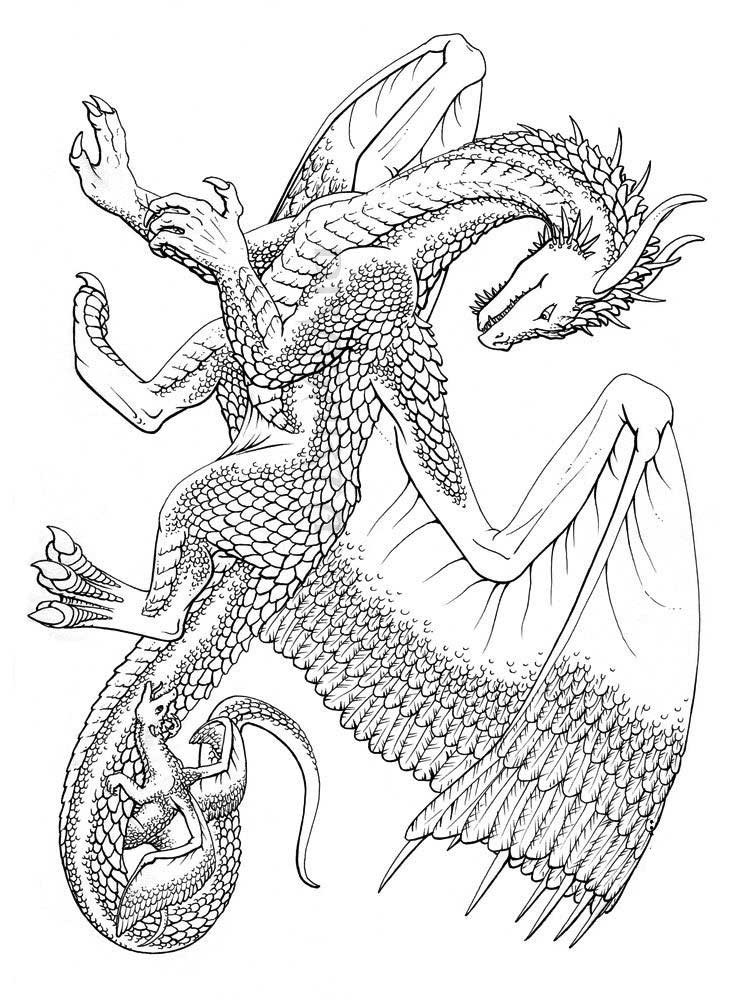 Dragon Coloring Books For Adults
 Free Dragon coloring pages for Adults Printable to