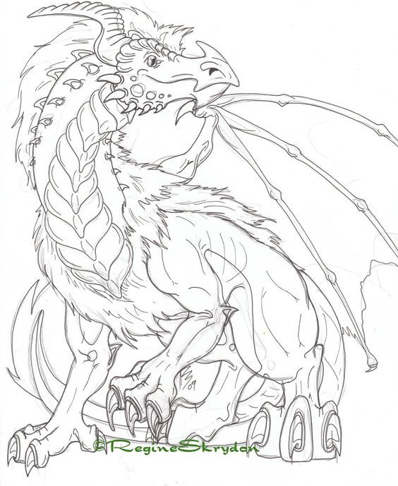 Dragon Coloring Books For Adults
 Free Printable Coloring Pages For Adults Advanced Dragons