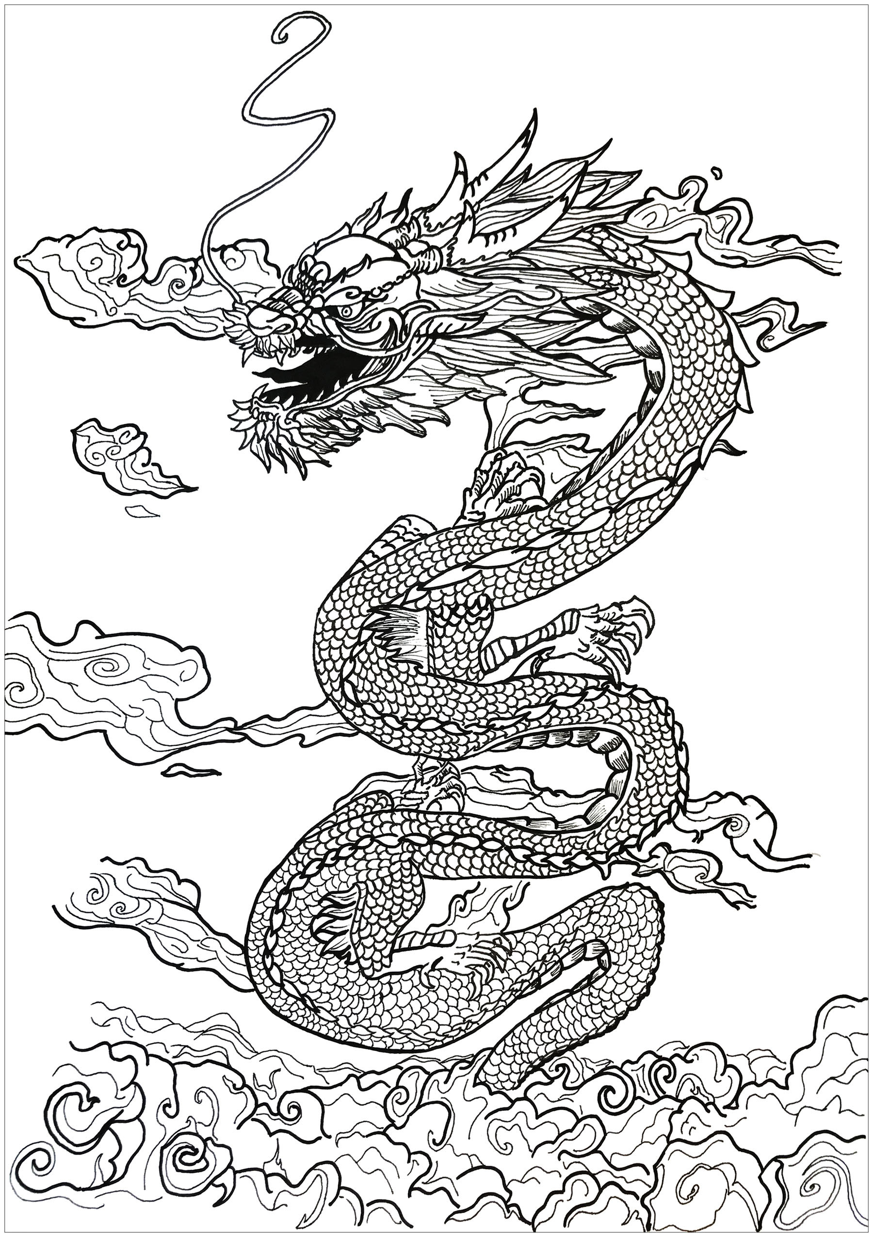Dragon Coloring Books For Adults
 Dragon asian inspiration