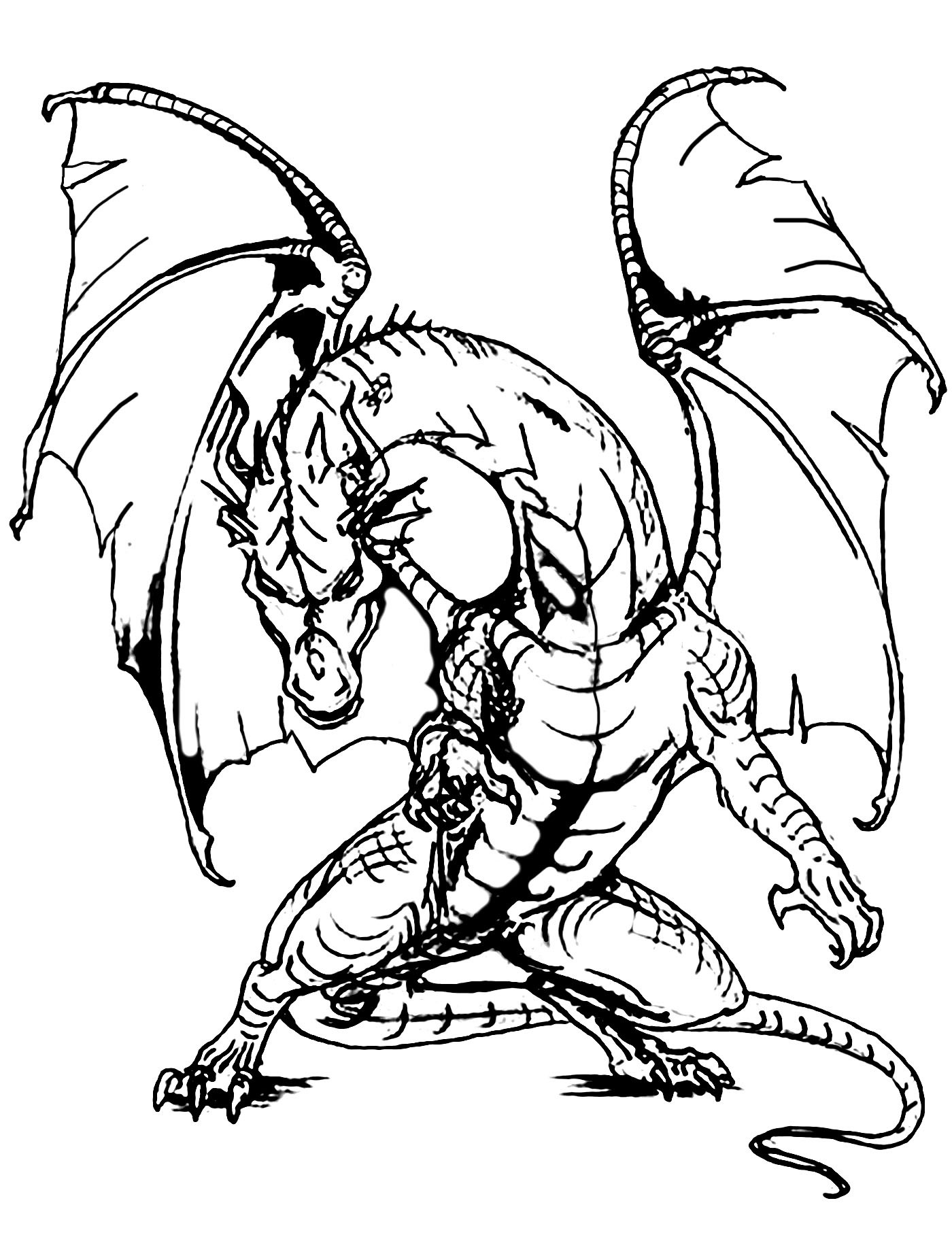 Dragon Coloring Books For Adults
 Giant dragon